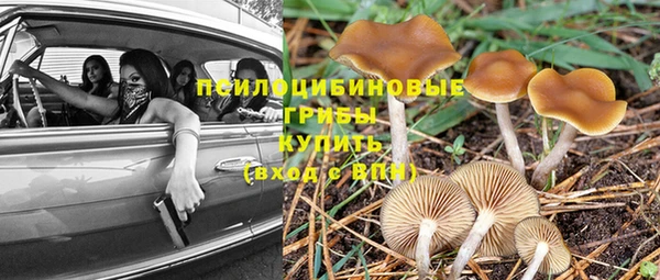 mdpv Богородск