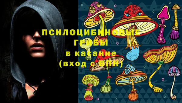 дмт Богородицк