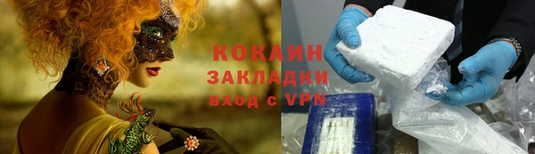 mdpv Богородск