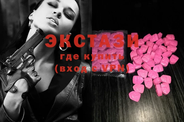дмт Богородицк