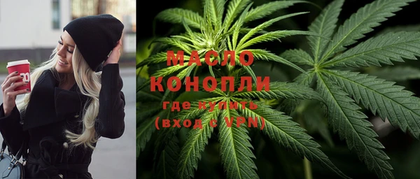 дмт Богородицк