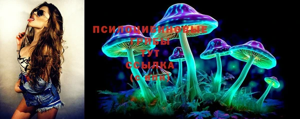 соль курить ск Верея